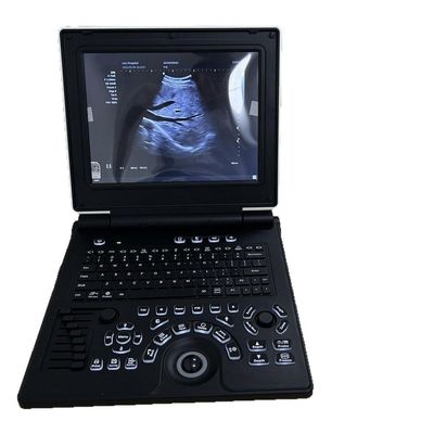 E20 Veterinary Color Doppler Ultrasound Portable System with Multi-Species Presets 7 Probes Selectable
