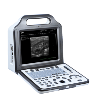 12.1" LED Home Medical Device Portable Color Doppler Ultrasound System OEM