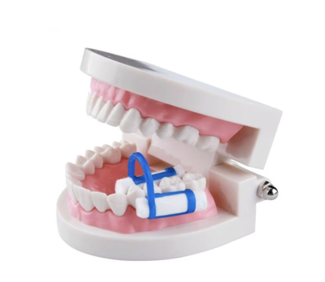 Dental Cotton Roll Clamp Medical Consumable Ozone Disinfecting Type
