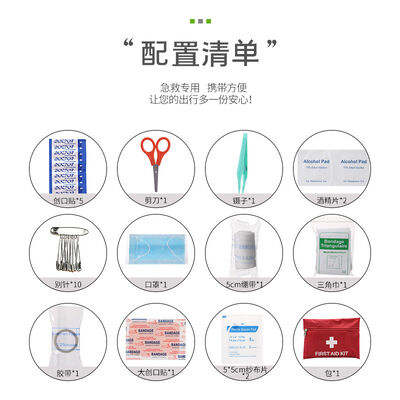 Fully Stocked First Aid Kit Bag 12 Set for Family and Personal Emergency